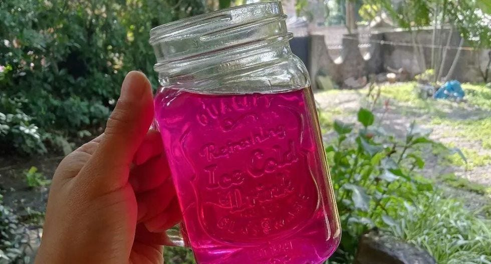 Conoce las propiedades medicinales de la infusión de muicle