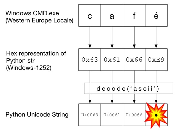 python - How to fix: "UnicodeDecodeError: 'ascii' codec can't decode byte"  - Stack Overflow
