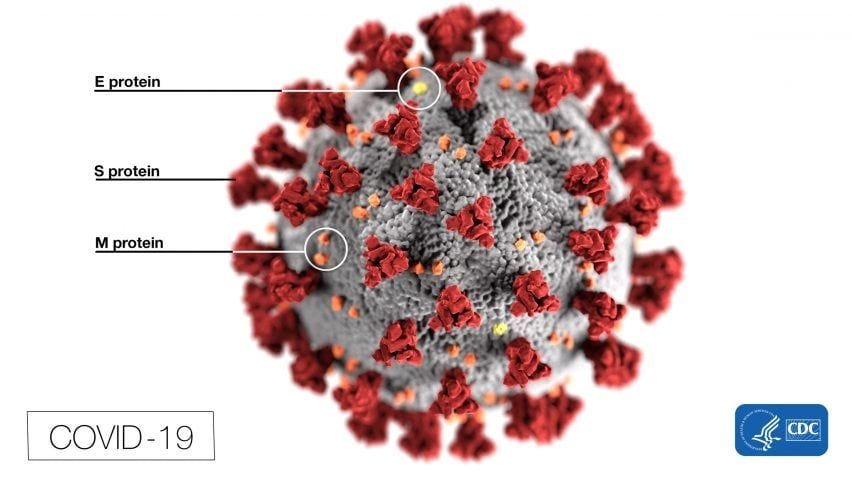 Covid-19 illustration by CDC medical illustrator Dan Higgins