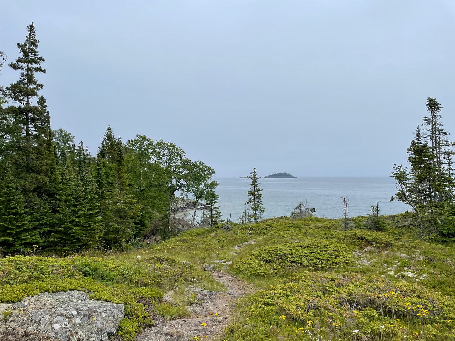 Scoville Loop at Isle Royale National Park: A narrow path with low growing vegatation on both sides and evergreen trees and Lake Superior in the background.