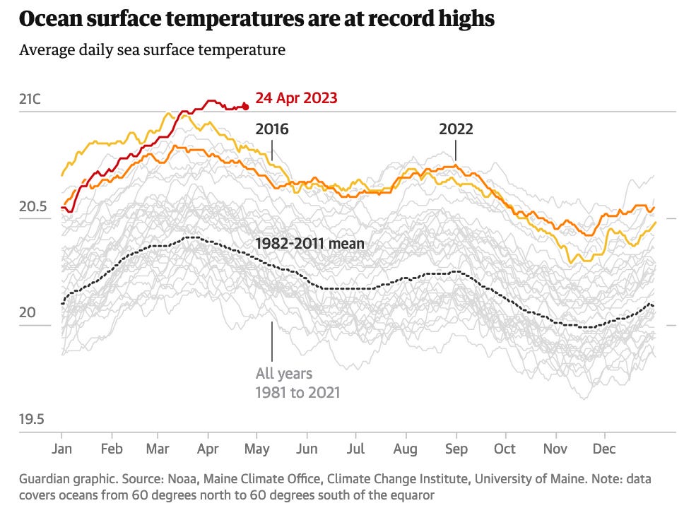Graph of rising ocean temperatures since 1981