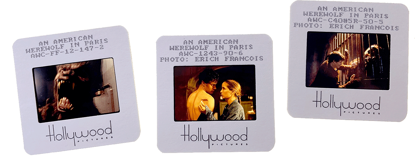 AN AMERICAN WEREWOLF IN PARIS slides; courtesy of Hollywood Pictures, photos by Erich Francois.