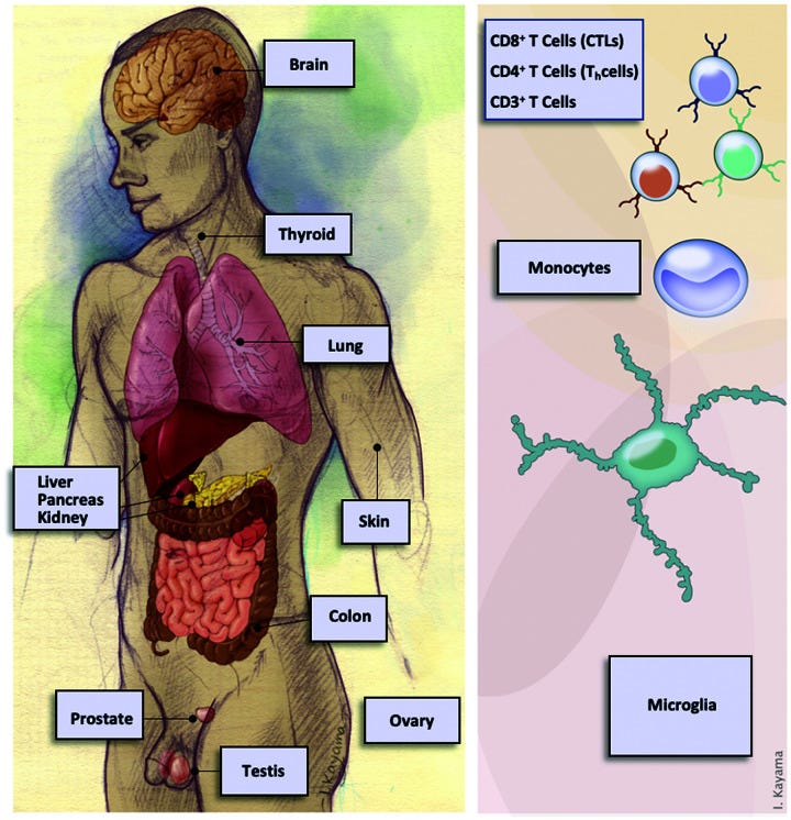 An external file that holds a picture, illustration, etc.
Object name is 10.1177_15353702211032549-fig1.jpg