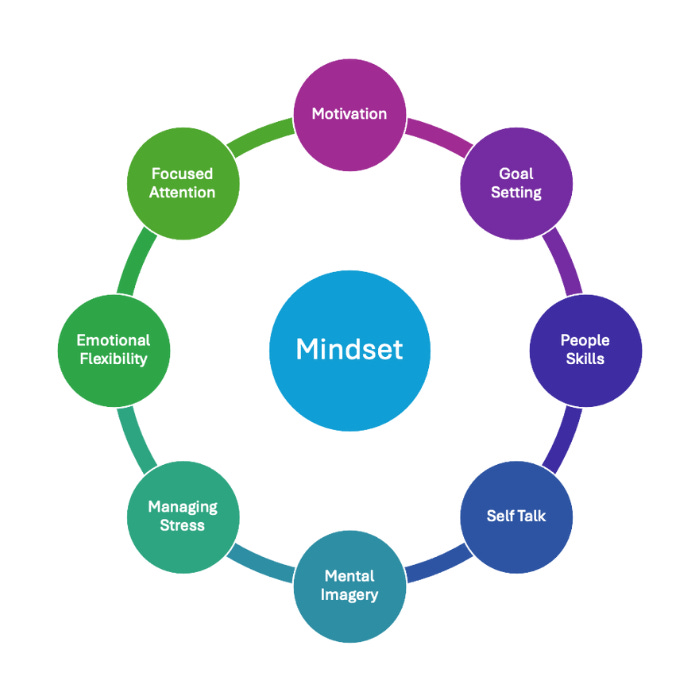 The 9 Mental Skills Framework for Peak Performance