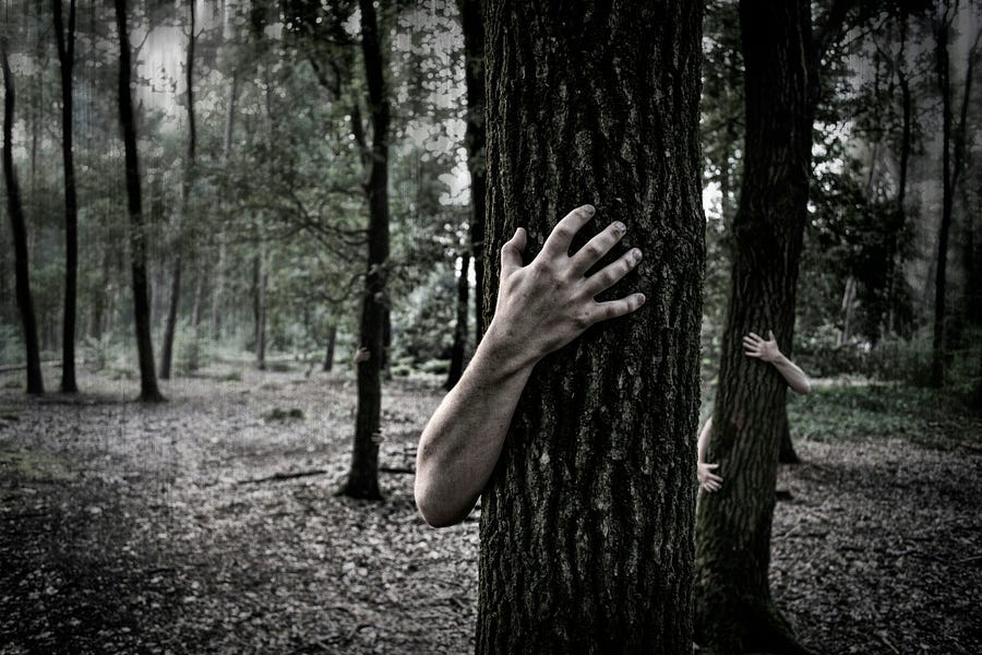 hands hugging trees in the woods.