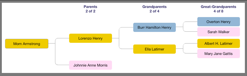 pedigree chart pedigree chart
