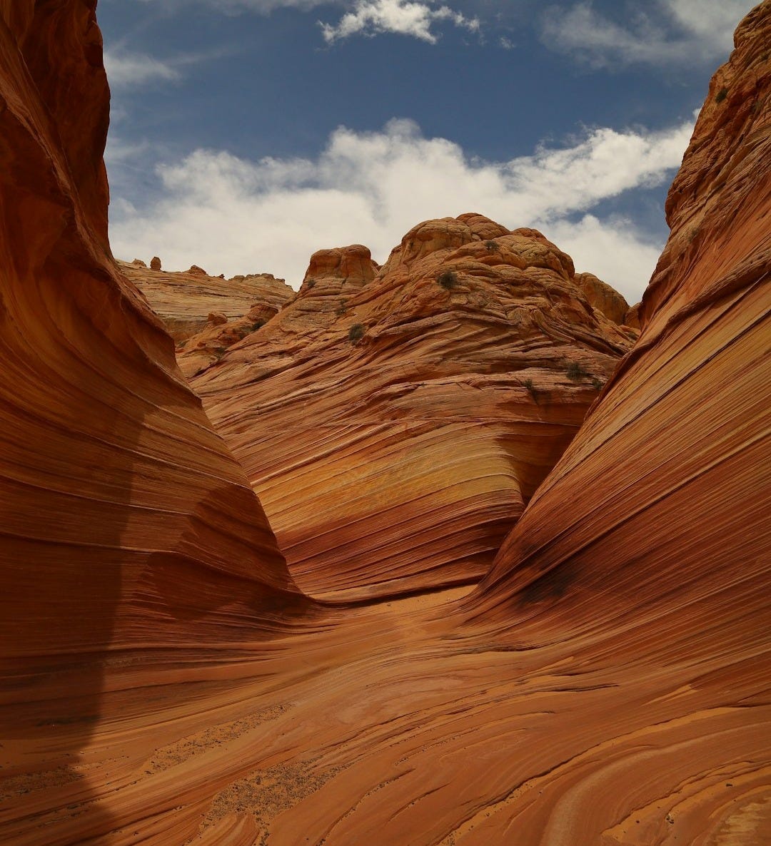 landscape shot of desert