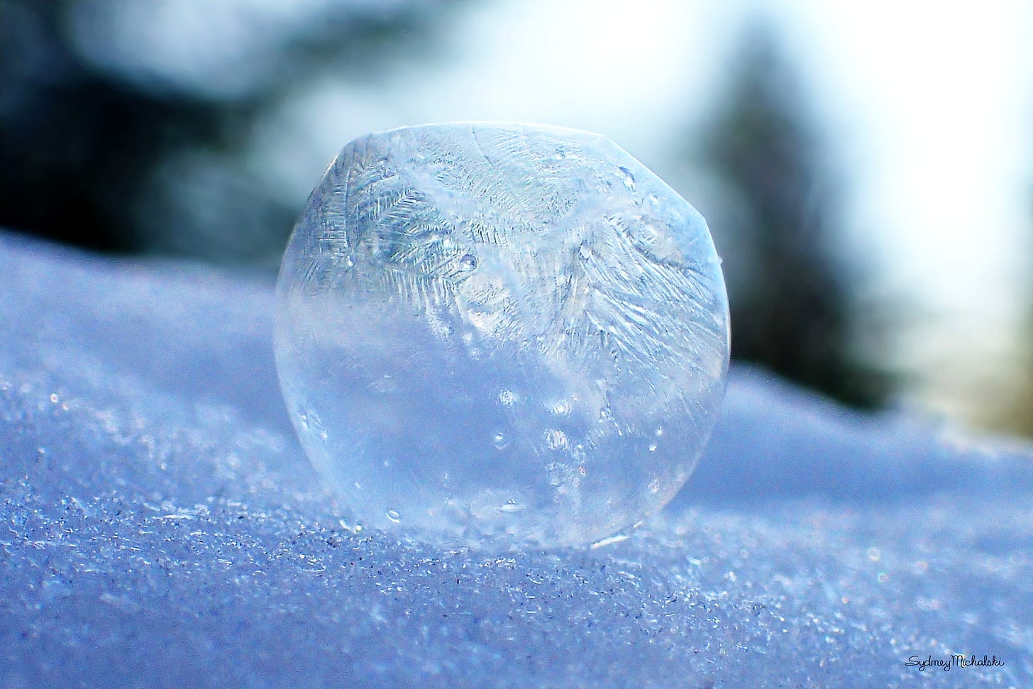 A frozen bubble begins to deflate in a snowy forest.
