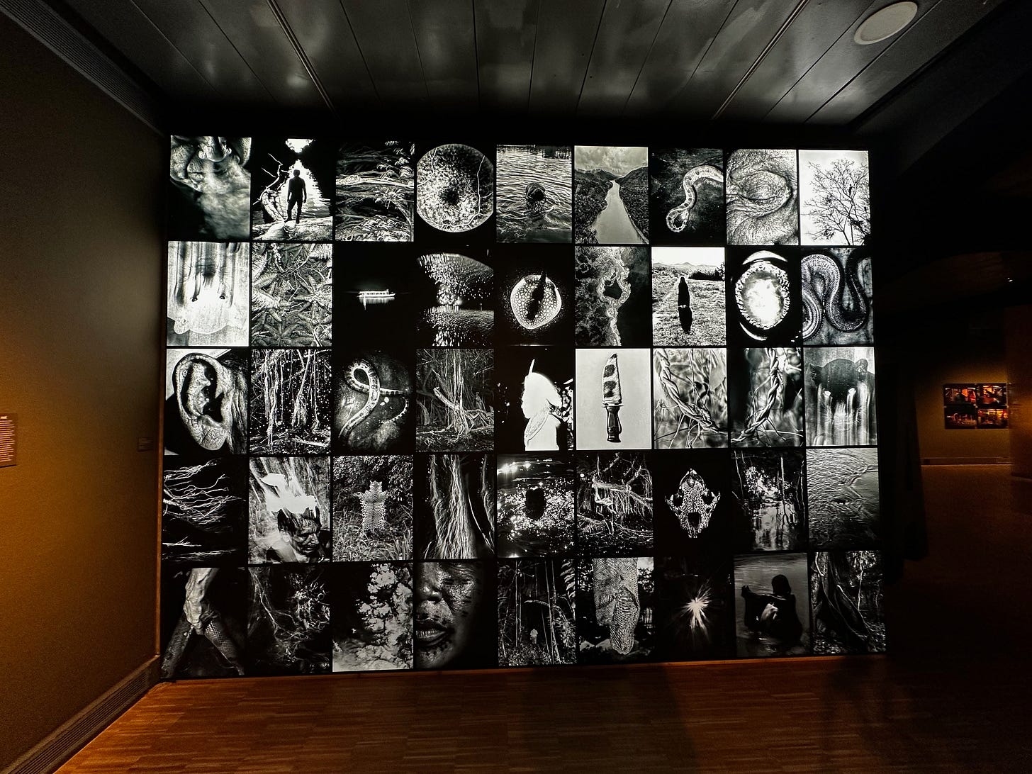Amazons. The Ancestral Future at CCCB in Barcelona, Spain