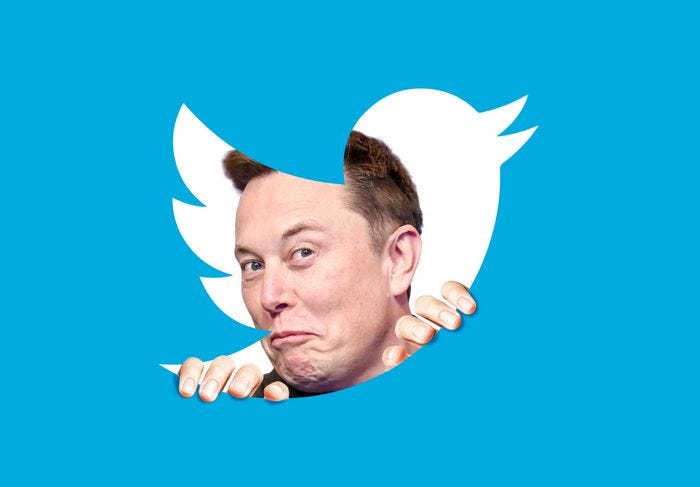 Elon Musk kijkt door het Twitterlogo naar de ravage die hij heeft aangericht.