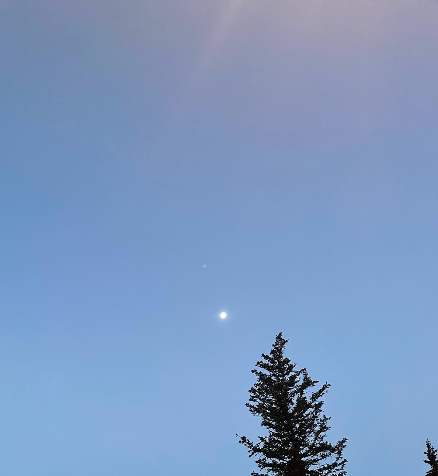 A photo of the early morning sky. The hues are purplish blue. There is a bright sun spot in the lower half. The very tops of two coniferous trees are creeping into the frame from the bottom of the photograph.