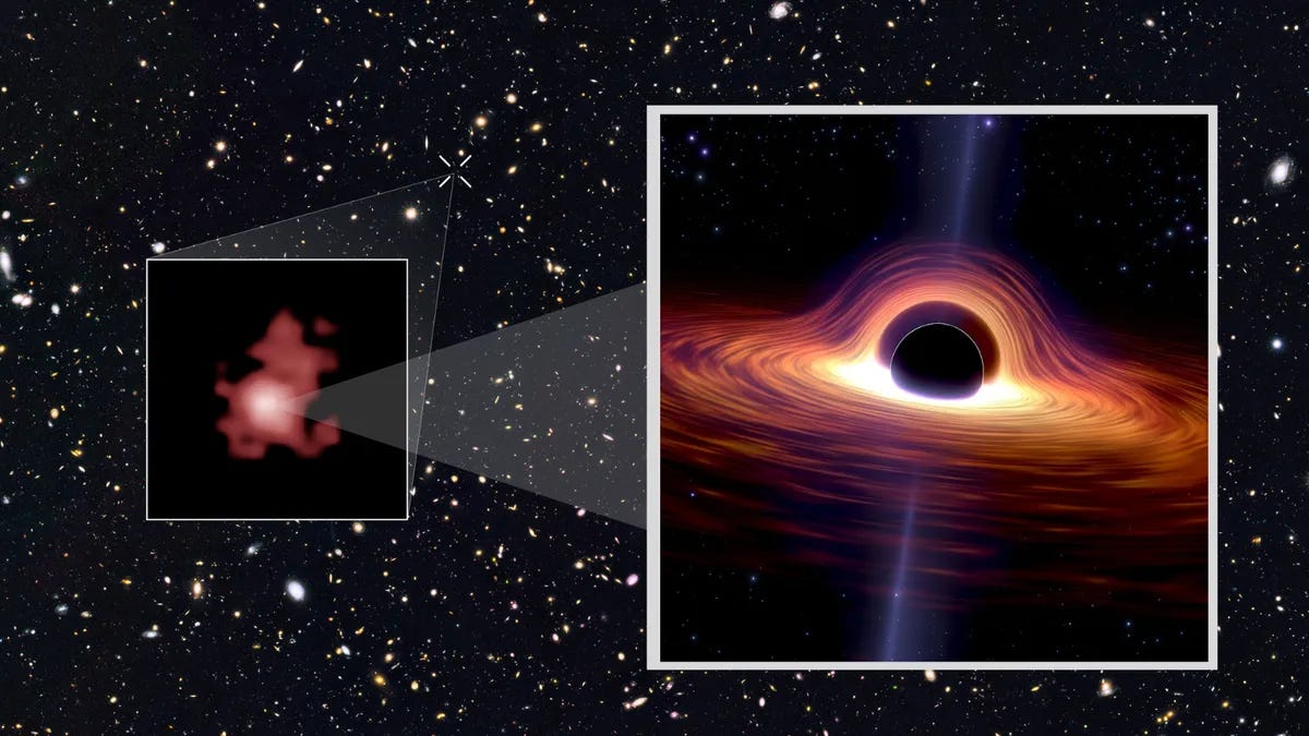 Against the dark black backdrop of space littered with stars, a red-orange blotch is magnified and shown to be a massive black hole. Next to the magnification is an artist's rendering showing the black hole slowly consuming its galaxy, which flows around the centre black hole in circles of orange and red. 