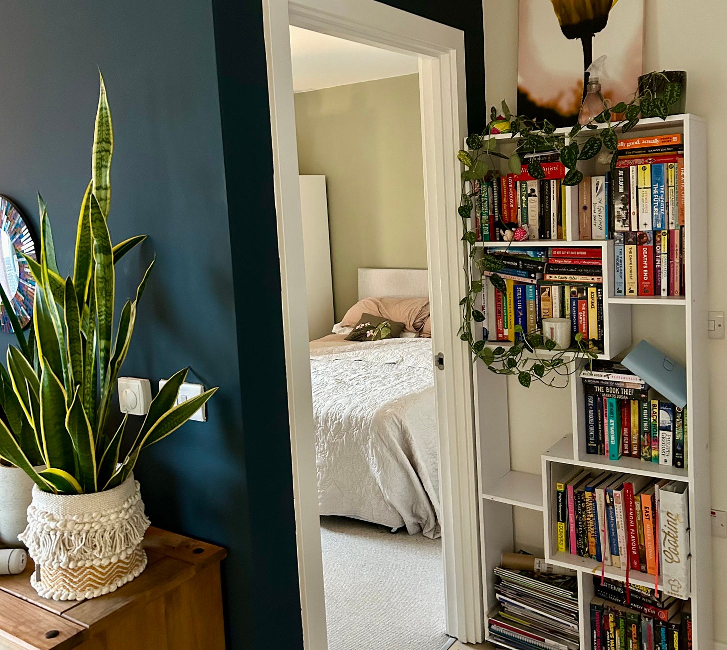 The image shows a bookshelf and a snake plant on a sideboard next to an open door to the bedroom.