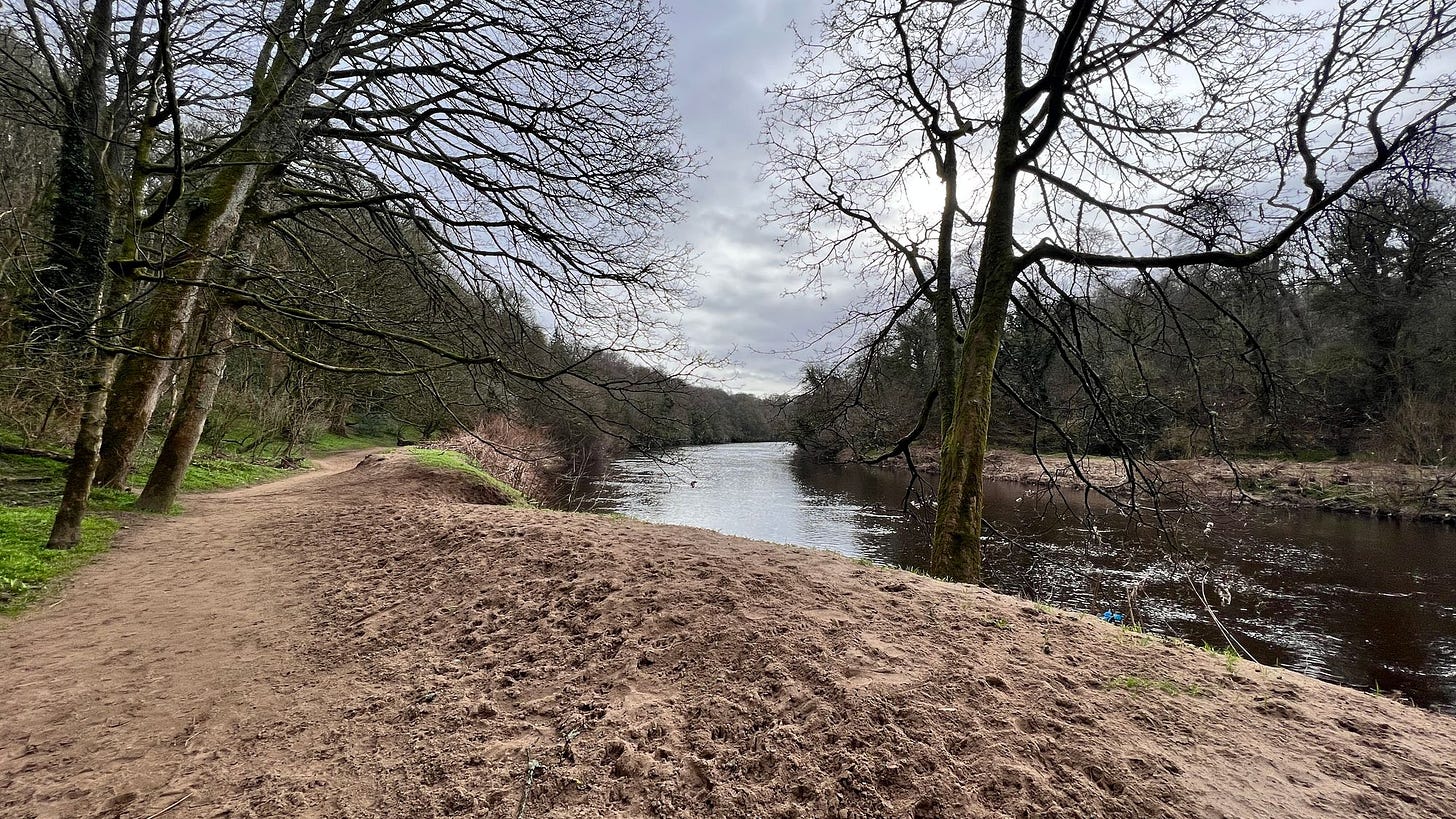 The most pleasant section of trail today that was soft and sandy