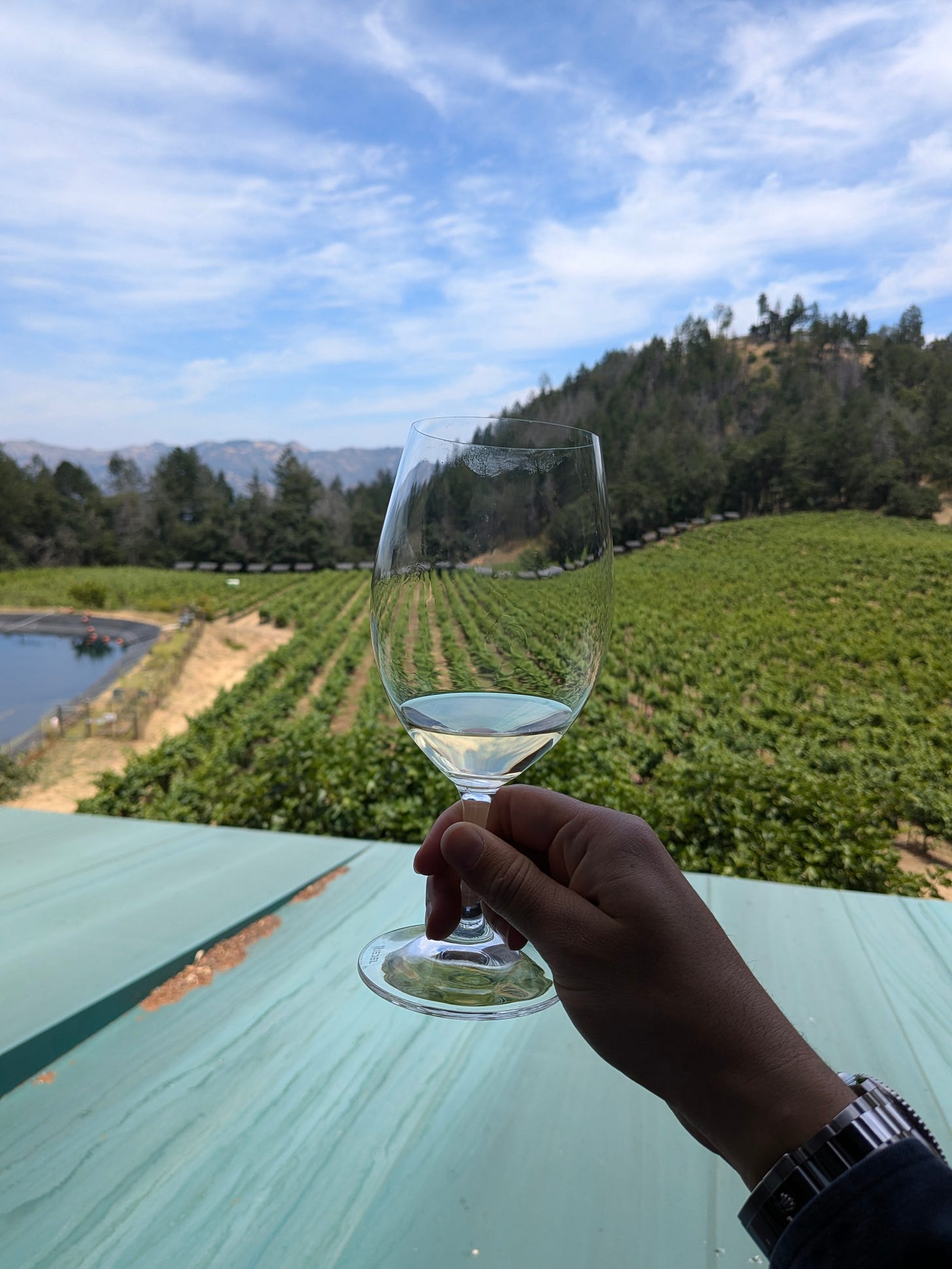 Tasting wine at a vineyard in California