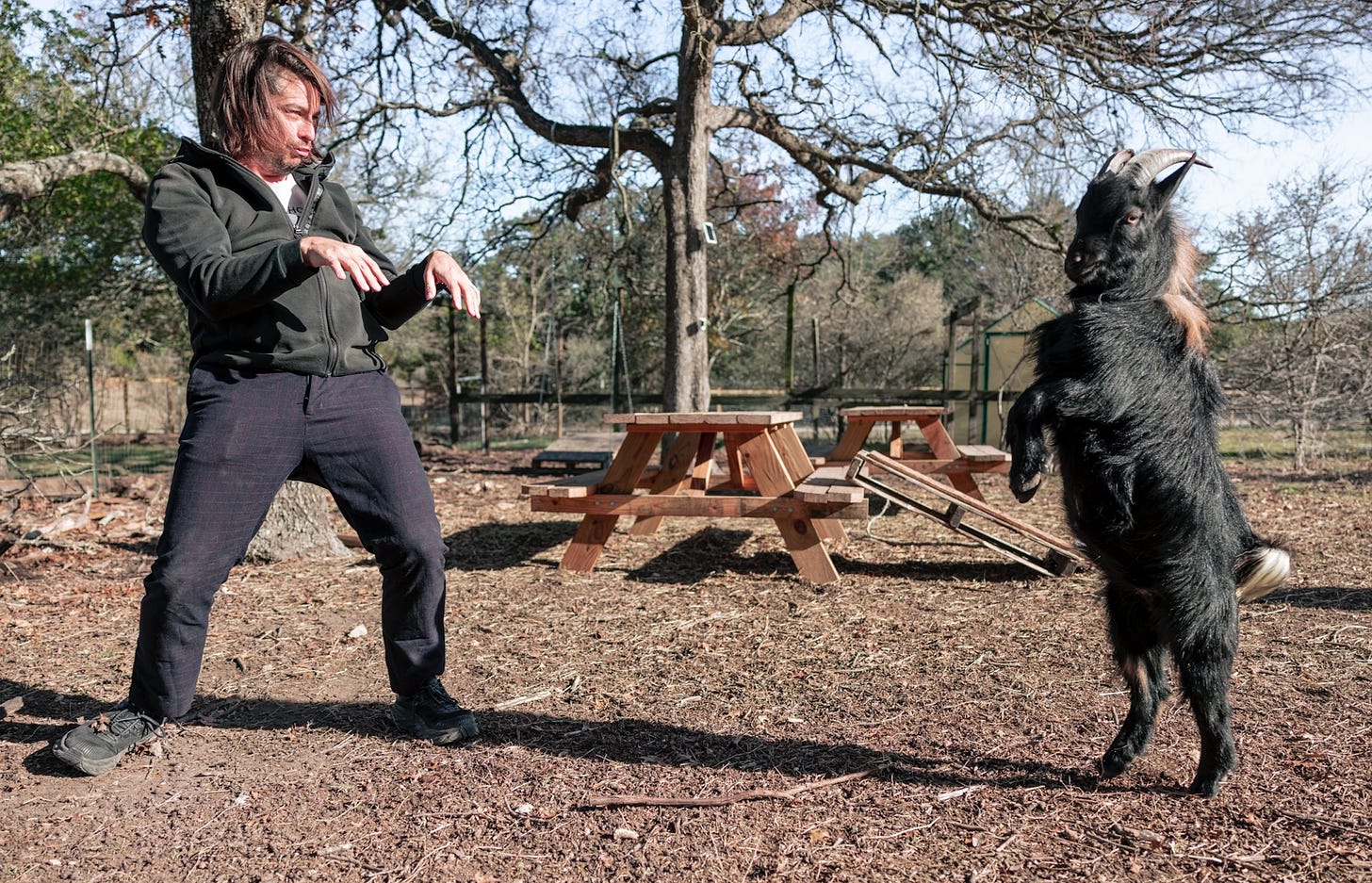 Matt posing next to a goat, arms outstretched, looking ridiculous