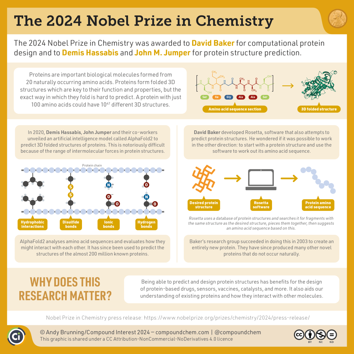 The 2024 Nobel Prize in Chemistry was awarded to David Baker for computational protein design and to Demis Hassabis and John M. Jumper for protein structure prediction. Proteins are important biological molecules formed from 20 naturally occurring amino acids. Proteins form folded 3D structures which are key to their function and properties, but the exact way in which they fold is hard to predict. A protein with just 100 amino acids could have 10^47 different 3D structures. In 2020, Demis Hassabis, John Jumper and their co-workers unveiled an artificial intelligence model called AlphaFold2 to predict 3D folded structures of proteins. David Baker developed Rosetta, software that also attempts to predict protein structures, and used it to start with a protein structure and use the software to work out its amino acid sequence. By doing this proteins that do not occur naturally can be produced. Being able to predict and design protein structures has benefits for the design of protein-based drugs, sensors, vaccines, catalysts, and more. It also aids our understanding of existing proteins and how they interact with other molecules.