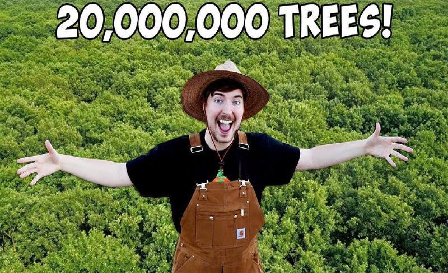 YouTube celebrities spark $20 million donation for 20 million trees – The  Hill