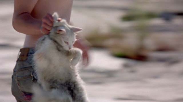 Gummo (1997) - Cinema Cats