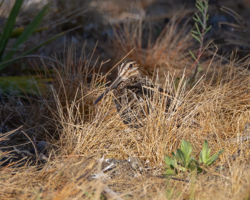 20240218-Yuma-682-Edit.jpg