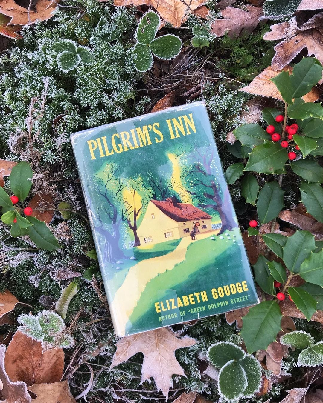 A US edition of Pilgrim’s Inn by Elizabeth Goudge in my frosty garden.