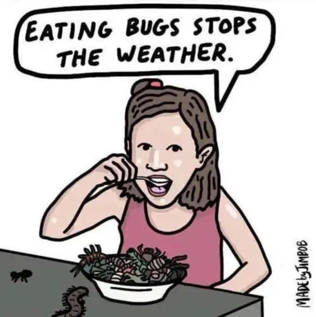 Eat bugs - Meme by defiantamerica :) Memedroid