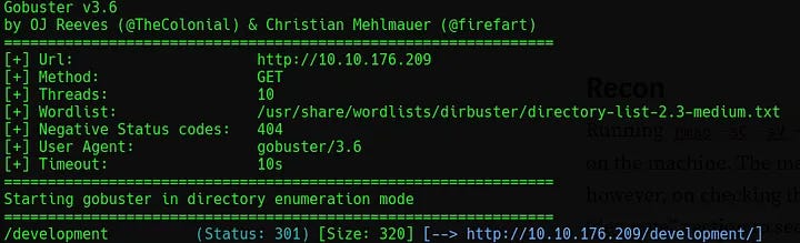 Terminal output of Gobuster command showing /development page.