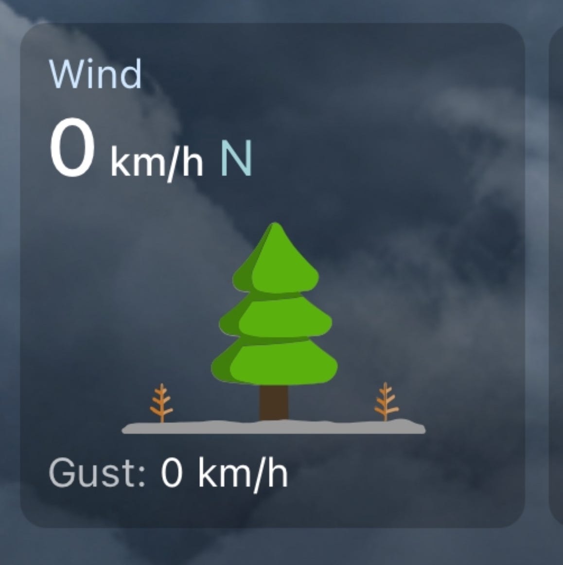A screen grab of the weather app on my phone indicating the wind speed (and gusts) was 0 kilometres per hour