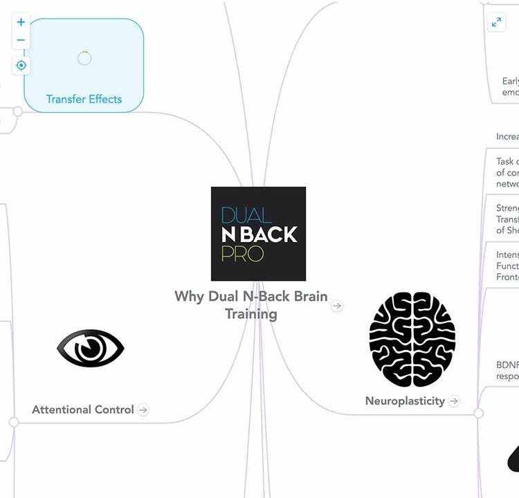 Why Dual N Back training