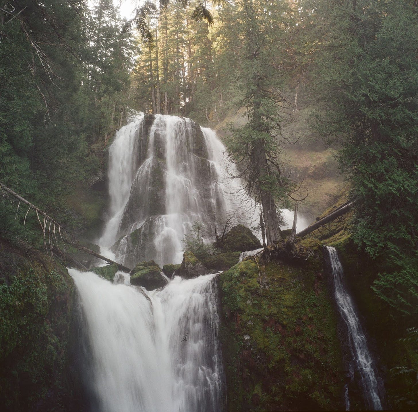 Falls Creek Falls on Analog Film