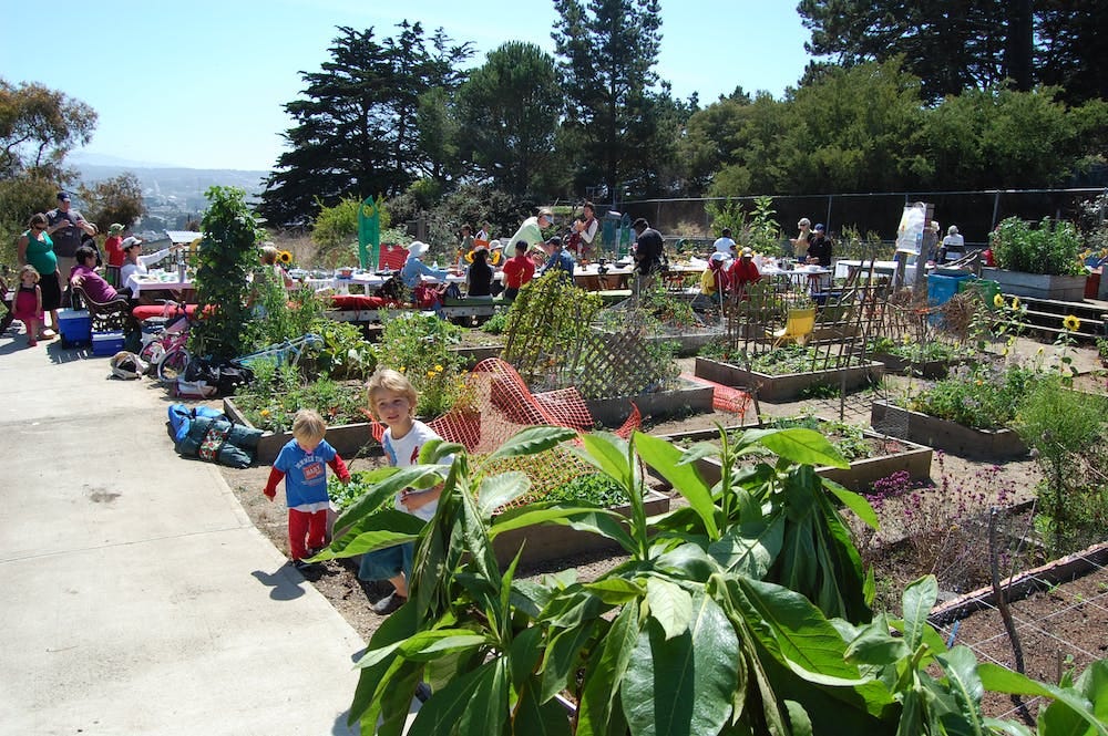 Community garden in san francisco