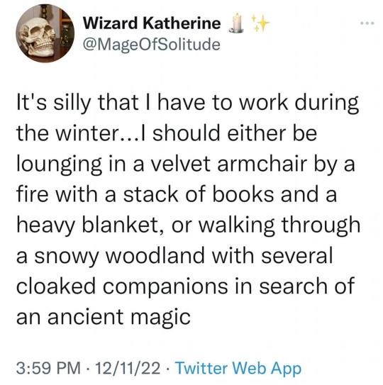 Tweet from user @MageOfSolitude which reads: "It's silly that I have to work during the winter... I should either be lounging in a velvet armchair by a fire with a stack of books and a heavy blanket, or walking through a snowy woodland with several cloaked companions in search of an ancient magic" 