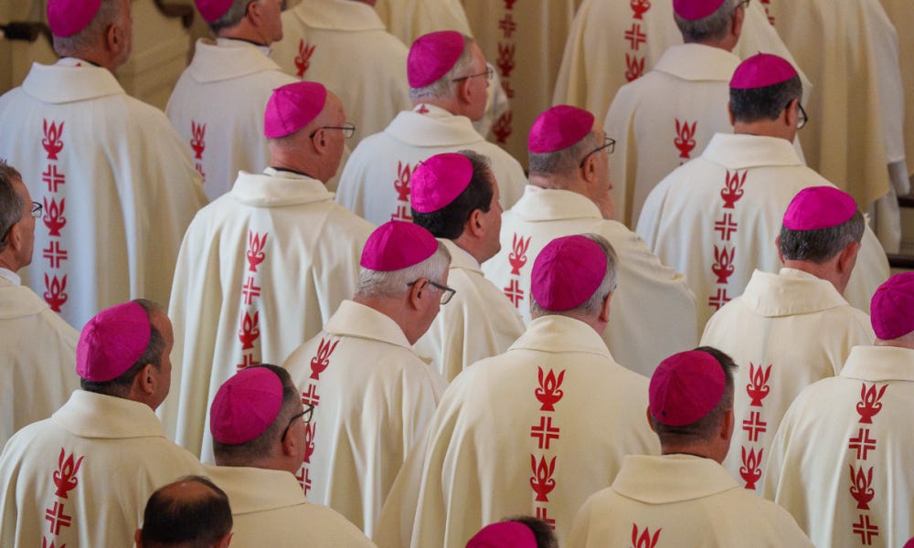 U.S. Bishops Begin Fall Plenary Assembly with Prayers and a Mass for Peace  | Gulf Coast Catholic