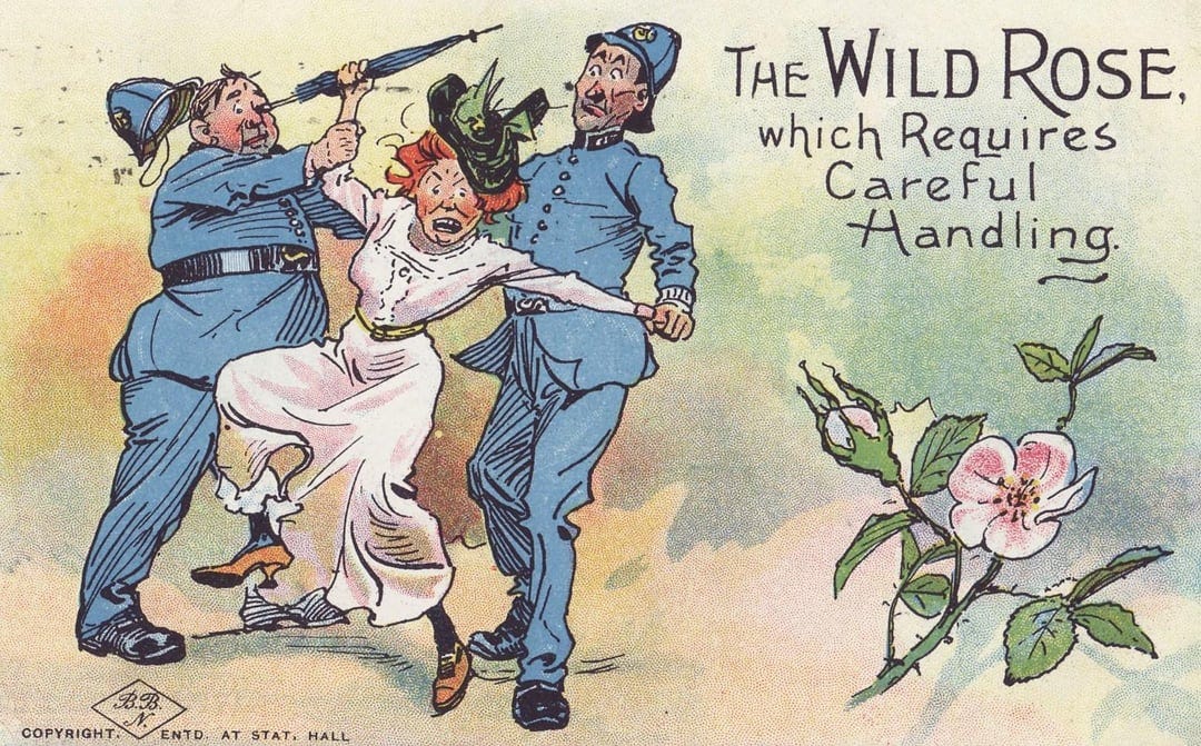 ''The WILD ROSE, which Requires Careful Handling'' - anti-suffrage  postcard, United Kingdom, circa 1905 : r/PropagandaPosters