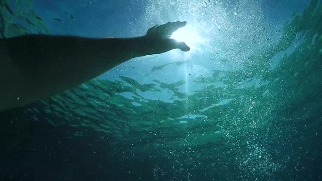 Drowning Underwater Images – Browse 21,584 Stock Photos, Vectors, and Video  | Adobe Stock