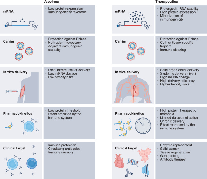 Unlocking the promise of mRNA therapeutics | Nature Biotechnology