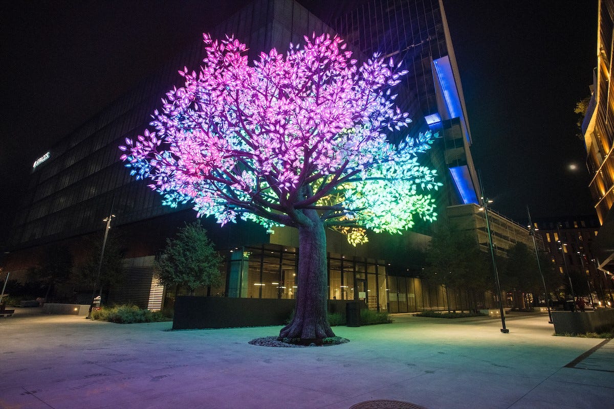 How Deep Ellum Became the Permanent Home for an Instagram Famous Tree
