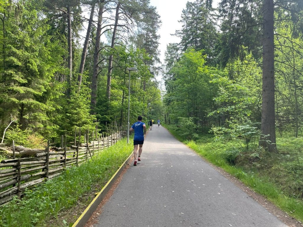 A gravel path running through tree-lined surroundings