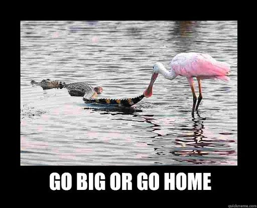 Go Big or Go Home memes | quickmeme