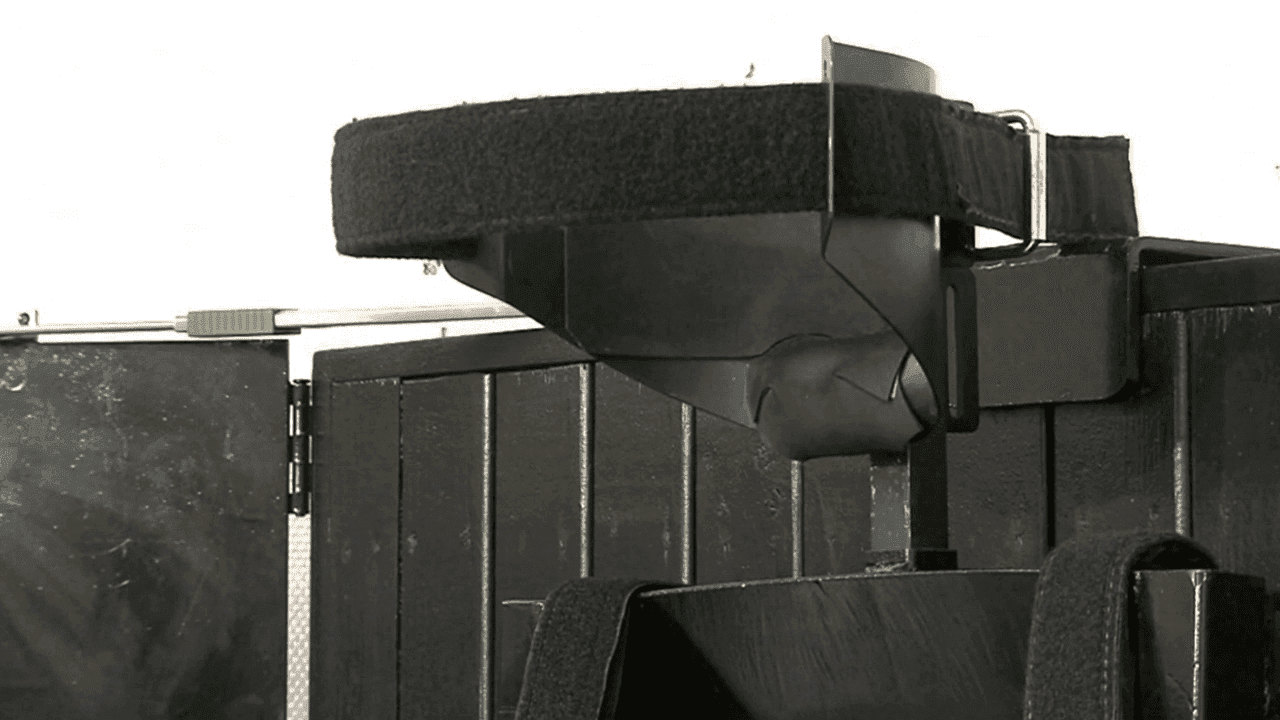 A new era of capital punishment: Legal challenges to South Carolina's firing squad photo 3