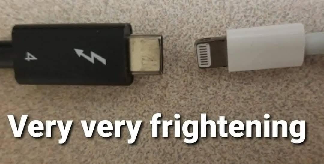 Thunderbolt and Lightning cables with their ends close together and caption that reads: Very very frightening