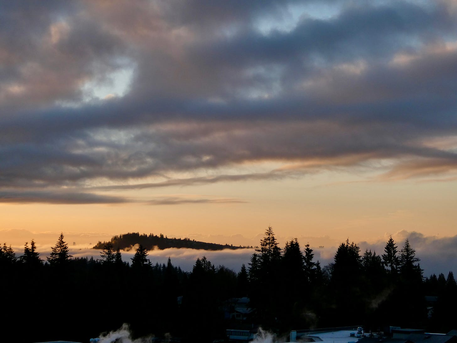Sunrise over fir trees and mist