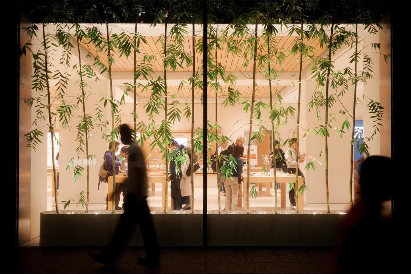 The windows of Apple Marunouchi at night. Silhouettes of bamboo and passersby obscure the glass.
