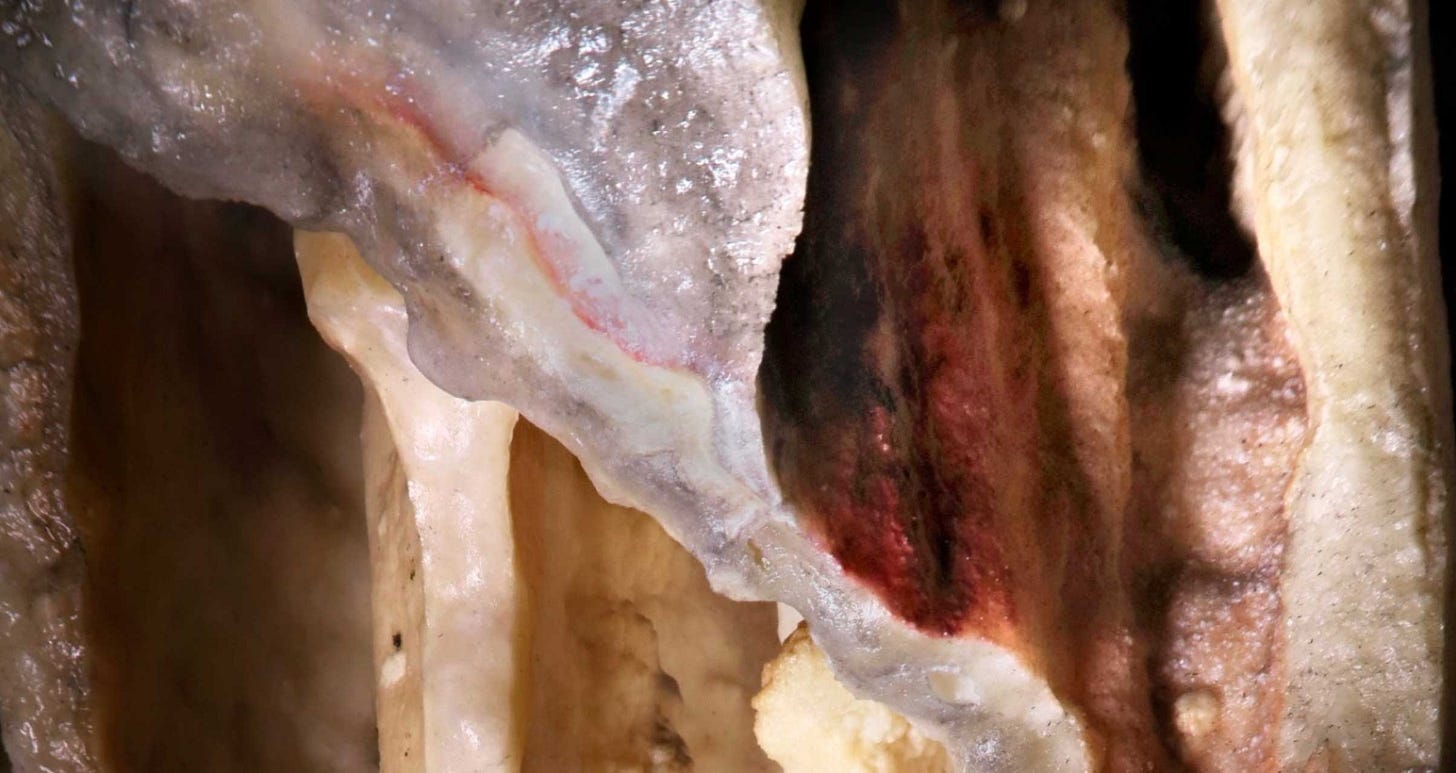 A flowstone with a broken edge revealing a line of red ochre, red pigment on its surface. A flowstone with a broken edge revealing a line of red ochre, red pigment on its surface.