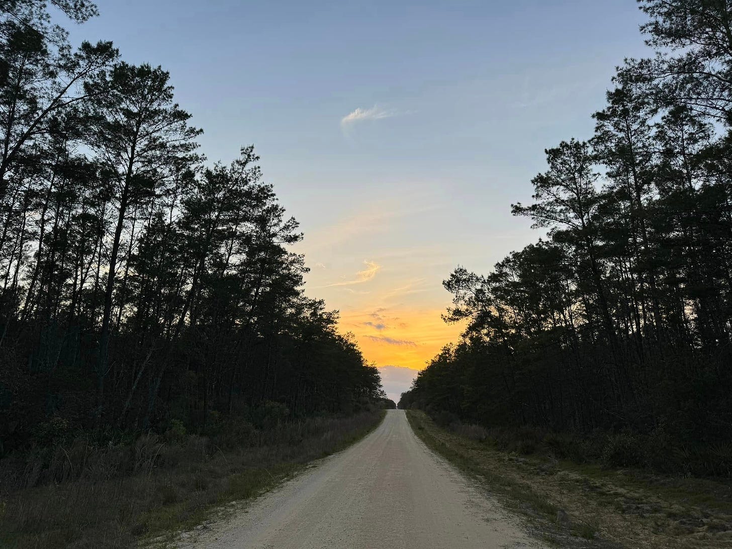 May be an image of tree, twilight, road and horizon