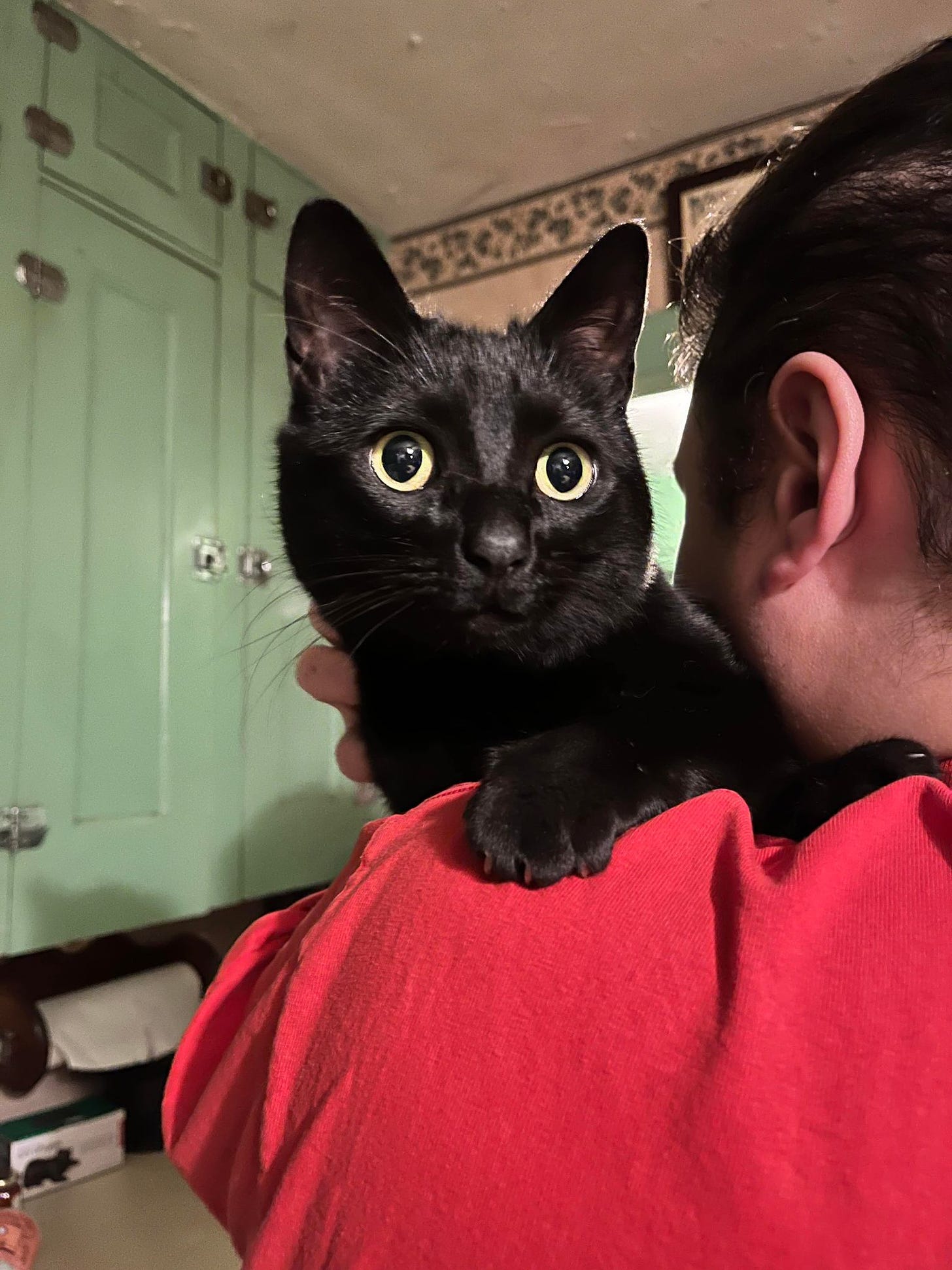 A black cat with gold eyes held on the shoulder of a man wearing a red shirt.