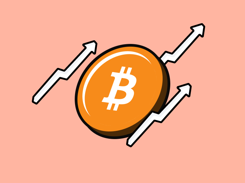 Understanding the Bitcoin Bull Run Cycle - Pintu Academy