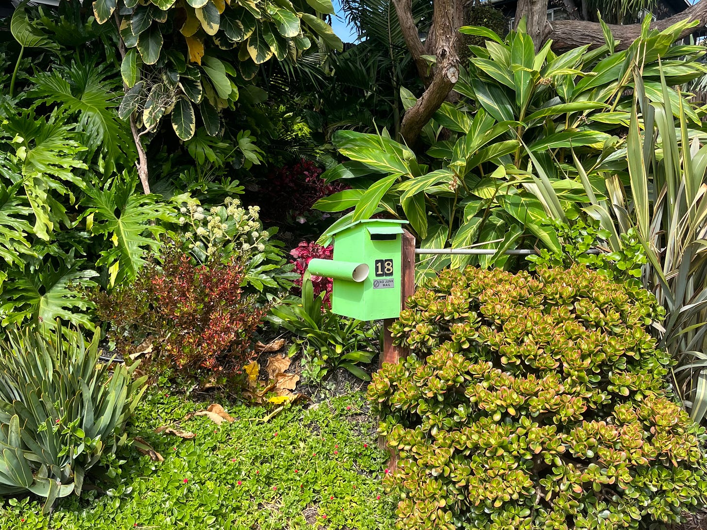 A photograph of a kermit-green letterbox (number 18) surrounded by sub-tropical green foliage