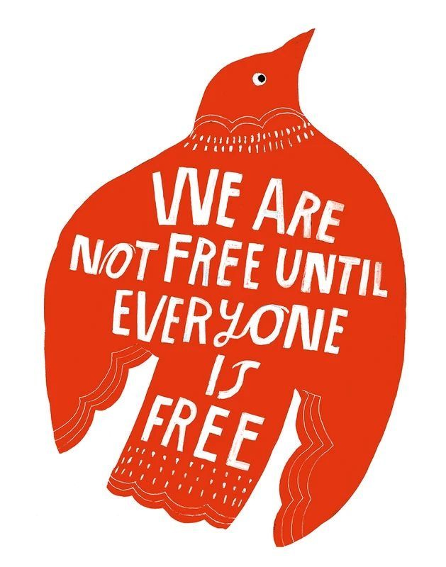 This may contain: a red bird with the words we are not free until everyone is free