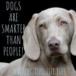 Best weird podcast for writing tips